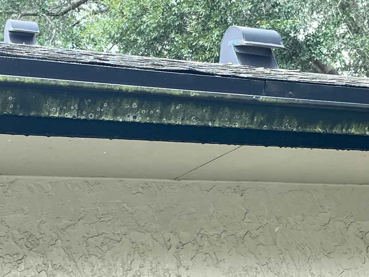Gutter line and fascia, commercial office